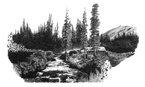 Pick for enlarged view of Fox Creek Cabin