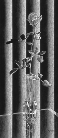Pick for enlarged view of Reflection